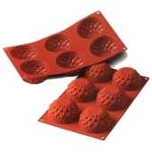 георгин георгин