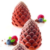 FORESTA. Форма силикон.ШИШКИ с держателем ( 1 шт.) FORESTA. Форма силикон.ШИШКИ с держателем ( 1 шт.)