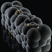 KE041. Форма силик.объемная 3D АТОМЫ (пакет 1 шт) KE041. Форма силик.объемная 3D АТОМЫ (пакет 1 шт)