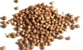 Кориандр зерно 99%  очистки (мешок 24 кг)