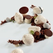 Форма силикон.ПАВОФЛЕКС миньон дзен PX4326S(1 шт)