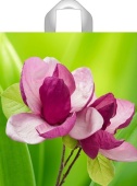 o347hhuot4aztpo02zv9h0te2o6037ls o347hhuot4aztpo02zv9h0te2o6037ls