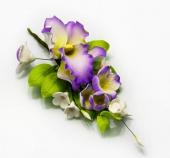 11176VЦветы из мастики  Орхидея