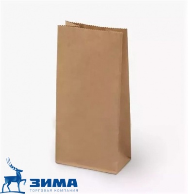 картинка Пакет бумажный 300*170*60мм(100 шт)  КРАФТ коричневый  от Торговой Компании "Зима"