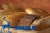 картинка Улучшитель хлебопекарный "BAKER" "Здоровье" (мешок 25 кг) от Торговой Компании "Зима"