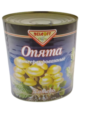 картинка Грибы 3100 мл ОПЯТА консервированные DELCOFF (упаковка 6 шт) от Торговой Компании "Зима"