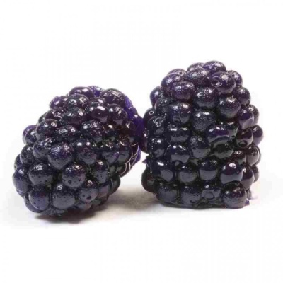 картинка Мармелад фигурный "Ежевика Садовая" (упаковка 0,300 кг) от Торговой Компании "Зима"