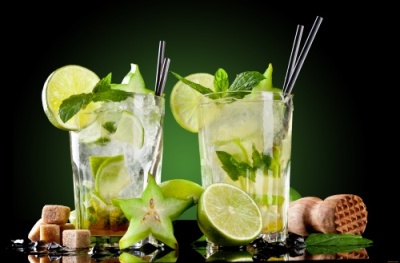 картинка Морс-сироп с ароматом "МОХИТО" (бутылка 1 л)  от Торговой Компании "Зима"