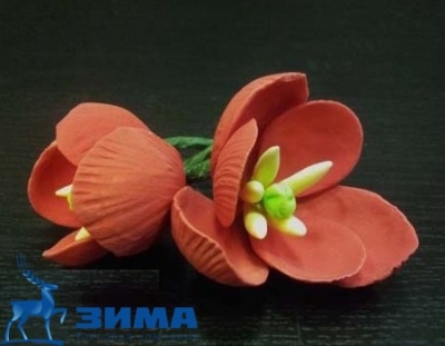 картинка Цветы из мастики (2 шт упаковка) 11927*D Тюльпан красный  от Торговой Компании "Зима"