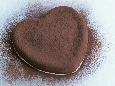 картинка Сахарная пудра нетающая "Бархатная" ШОКОЛАДНАЯ (банка 0,4 кг) от Торговой Компании "Зима"