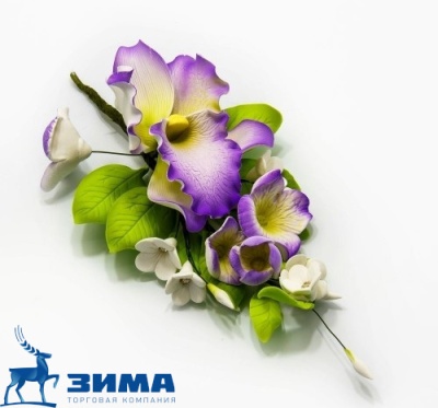 картинка Цветы из мастики (1 шт) 11176*V Орхидея от Торговой Компании "Зима"