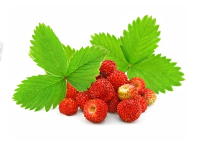 картинка Ароматизатор Земляника WM 500301/507 (1 кг) от Торговой Компании "Зима"