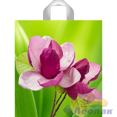 Пакет петл.ручка 40х44-75 мкм "Цветок" ТИКО (50/300) от Торговой Компании "Зима" картинка Пакет петл.ручка 40х44-75 мкм "Цветок" ТИКО (50/300) от Торговой Компании "Зима"