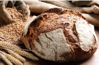 картинка Сухая закваска для изготовления теста "Sugrano Germ 70" (мешок 25 кг) от Торговой Компании "Зима"