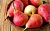 Pears_Fruit_Closeup_459047_1280x800