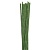 1384 G Стебельки зеленые № 24 (ок. 30-40 шт)