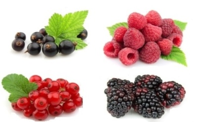 картинка Пюре фруктовое КРАСНЫЕ ФРУКТЫ (банка 0,8 кг) 72861 от Торговой Компании "Зима"