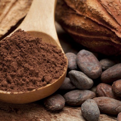 картинка Какао-порошок алкализованный Chocokao Dark 908АЗ/25 (мешок 25 кг)  от Торговой Компании "Зима"